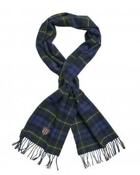 GANT HERR | Woven check wool scarf, Eden Green | Accessories fo